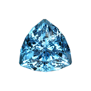 31.73 Ct Super Trillion Cut Blue Topaz ($1396)