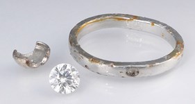 Garbage disposal ring Garbage disposal ring