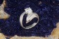 Dolphin Engagement Ring