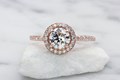 Fleur De Lis Halo Engagement Ring in Rose Gold