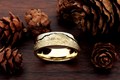 Bear Wedding Band in 18k Yellow Gold