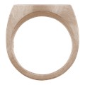 Fibonacci Signet Ring
