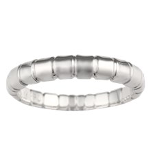 Dragonfly Wedding Band - top view