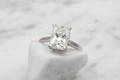 The center stone of your choice is just the beginning of this beautiful engagement ring.