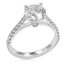 Perfect Cathedral Engagement Ring