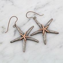 Starfish Earrings