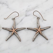 Starfish Earrings - top view
