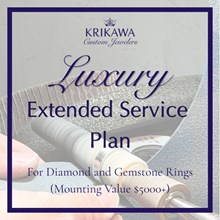 $650 Luxury Extended Service Plan