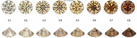 Champagne Diamond Scale