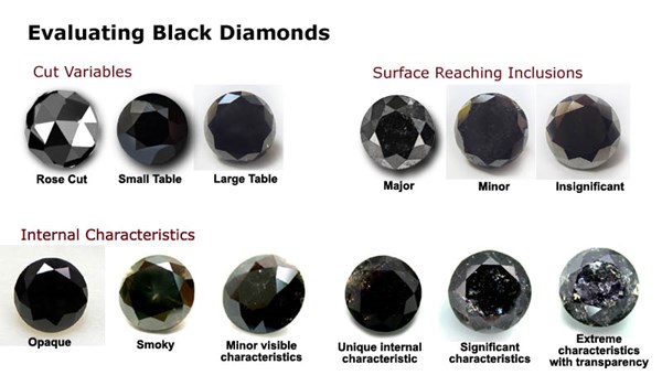 Black Diamond Comparison