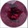 rhodolite garnet