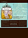 Tucson Bridal Trends Tucson Bridal Summer Fall 2008 Spread feat Mokume