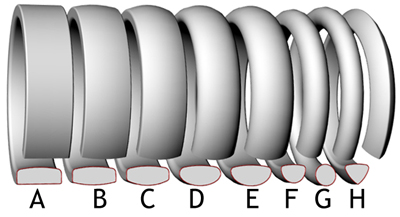 Ring Shape Chart