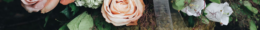 wild flowers