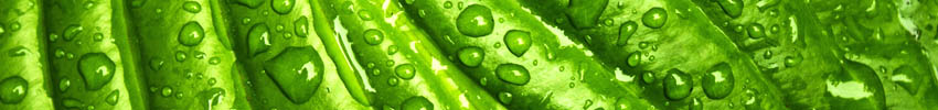 water drops